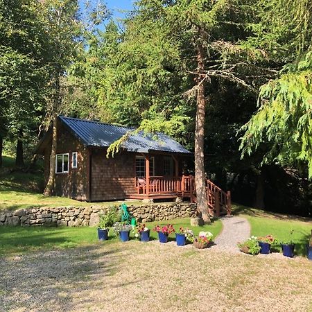 Willow Lodge Dublin Ngoại thất bức ảnh