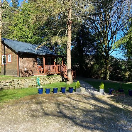 Willow Lodge Dublin Ngoại thất bức ảnh