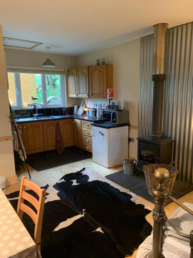 Willow Lodge Dublin Ngoại thất bức ảnh