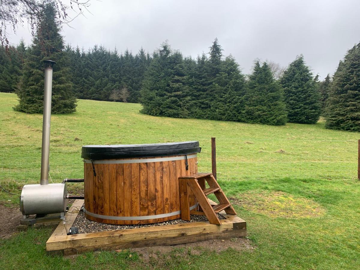 Willow Lodge Dublin Ngoại thất bức ảnh