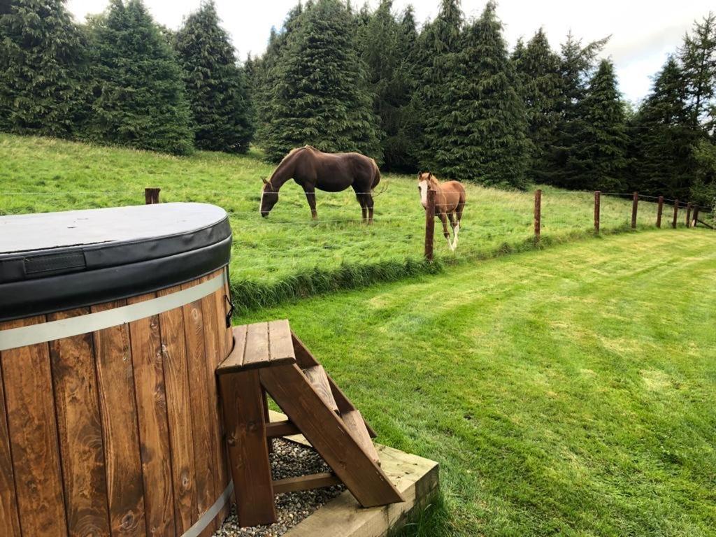 Willow Lodge Dublin Ngoại thất bức ảnh