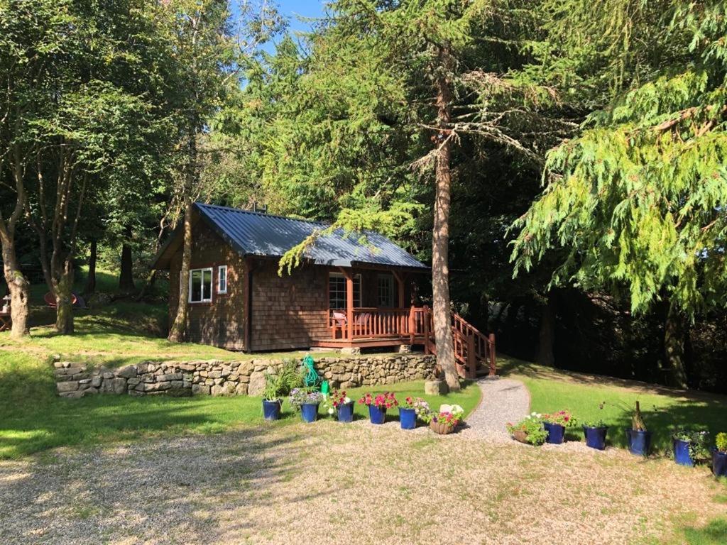 Willow Lodge Dublin Ngoại thất bức ảnh
