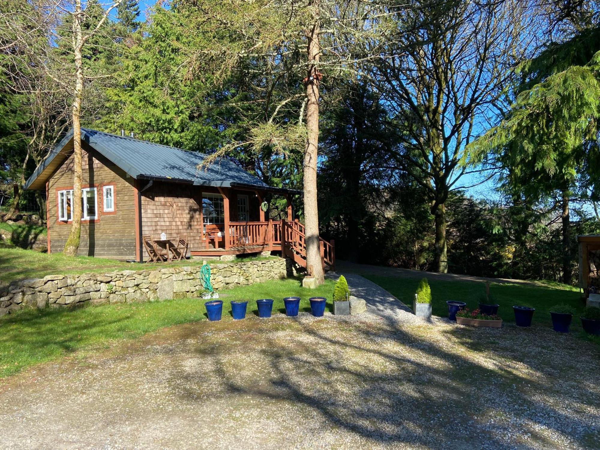 Willow Lodge Dublin Ngoại thất bức ảnh